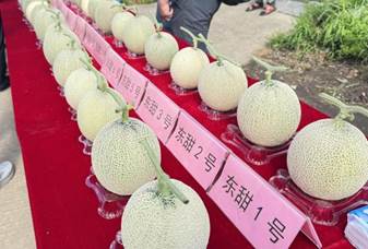 微信图片_2025-08-11_123632_575