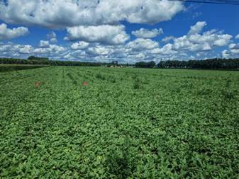 微信图片_2025-08-11_123623_937